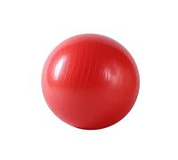 Sunny Health and Fitness Pelota de Gimnasio antiestallido con Bomba - 55 cm