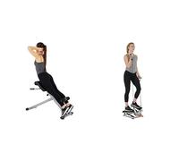 Sunny Health & Fitness Advanced Twist Stepper Machine, Portable Mini Stair Stepper, Resistance Bands + 45 Degree Hyperextension Roman Chair, Steel, Grey, One Size SF-BH6629