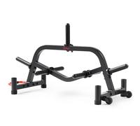 Sunny Health & Fitness Soporte de almacenamiento para platos y pesas múltiples, organizador de barras olímpicas, carga de hasta 639 KG - SF-XF9938