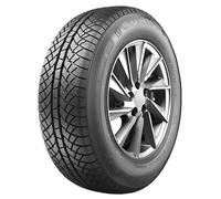 Sunny Wintermax NW611 165/70 R13 83T coche de turismo Neumáticos de invierno Neumáticos PEUGEOT: 206 Hatchback, 306 Hatchback, 205 II Hatchback 6314