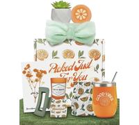 Sunny&Wise - Cestas de regalo con temática naranja para mujer, diseñadas en Estados Unidos, paquete de cuidado, regalos de cuidado personal, recuperate pronto, pensando en ti