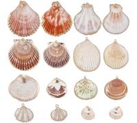 SUNNYCLUE 1 Caja 32Pcs 8 Estilos Encantos de concha natural Encantos de concha de electroplaca Verano a granel Océano Playa Conchas de mar Colgantes de oro con aro para joyería Haciendo collar Pulsera