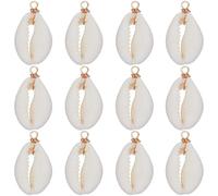 SUNNYCLUE 1 caja de 30 piezas de Dijes de Concha Chapados En Oro Real de 18 quilates Encantos de Concha A Granel Encantos de Concha Marina Verano Océano Hawaii Playa Concha Marina Encantos de Concha N