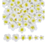SUNNYCLUE 1 caja de 60 cabujones de flores con parte trasera plana, cuentas de flores de plumeria, resina blanca 3D, mini hawaiano, floral, océano, mar, playa, cabujón para hacer joyas, álbumes de