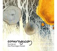 Sunrise at the Ptarmigan Forest[WAKRD071]