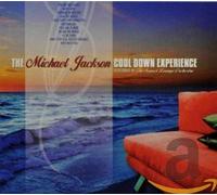 Sunset Lounge Orchestra - The Michael Jackson Cool Down Experience