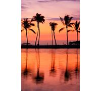 Sunset Palm Tree Notebook - Tropical Aesthetic Lined Journal for Women, Men, Teens, and Students | Beach Vibes Writing Notebook for Travel, School, or ... the Birthday Gift for Women Men Friend