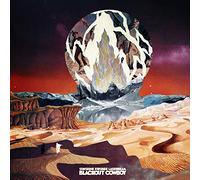 Sunshine Frisbee Laserbeam - Blackout Cowboy [Vinilo]