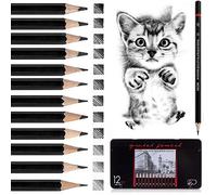 Sunshine smile Lápices de Dibujo,Lapices Dibujo Artístico,Dibujo Profesional,Lápiz de Arte para Artista,Lápiz de Dibujo Profesional,Lapices Dibujo Artístico,Set de lápices de Dibujo (A-12 piezas)