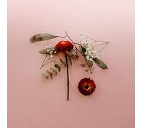 Sunsleeper – You Can Miss Something & Not Want It Back – CD – Importación USA