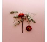 Sunsleeper – You Can Miss Something & Not Want It Back – Vinilo