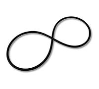 SunSun Filtro de repuesto para estanque a presión CPF-15000 Junta tórica de sellado