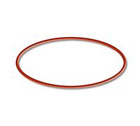 SunSun Filtro Externo Acuario HW-603B Pieza de Repuesto Junta tórica