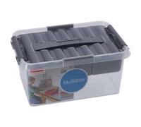 Sunware Q-line Caja De Almacenamiento 6L - 30x20x14,5 cm - Con Bandeja Interior - Transparente Metalizada - Caja Con Tapa
