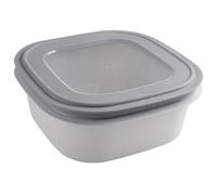Sunware Sigma Home - Recipiente hermético para microondas (2,8 L, 23 x 23 x 9 cm, hermético, a prueba de fugas, apilable, sin bisfenol A)