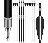 Sunya Flechas de Caza Arco Compuesto y Arco recurvado. Eje de Carbono de 30 Pulgadas, Espina 400/500 con Puntas Removibles. Paquete de 12 Unidades (Negro, Spine 500-30Inch)