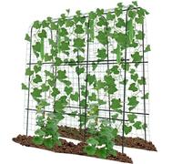 SUNYRISY Enrejado de Arco de jardín, Enrejado de núcleo de Metal para Plantas trepadoras al Aire Libre, 71 x 71 x 15.7 Pulgadas de Alto, Soporte para Plantas trepadoras de Enredadera, Pepino, Tomate,