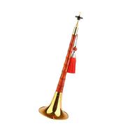 suona instrumento Old Caoba Suona Principiante D Clave Suona Instrumento Musical Nacional Profesional Folk Suona (Color : 01)