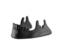 Suoumwa Soporte para Gafas de Calavera Gótica, Soporte para Teléfono Móvil con Mandíbula de Calavera, Tarjetero de Calavera, Soporte para Gafas, Decoración del Hogar