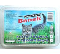 SUPER BENEK Hierba de crecimiento rápido para gatos, 150 g en caja de plástico
