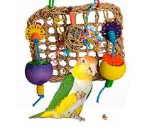 Super Bird Creations Mini Foraging Wall Medium Caiques Conures Quakers Ring Necks Chew