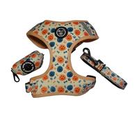 SUPER DOGGY Kit Arnés Antitirones - Correa y Portabolsas, Transpirable para Perros Pequeños y Medianos, con Seguridad Visibilidad (Bones & Footprints, M (7-11 KG))