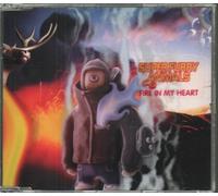 Super Furry Animals - Fire in My Heart