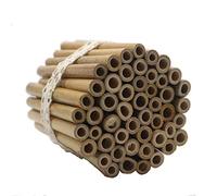 Super Idee 50 tubos de bambú de 10 cm de longitud para construir uno mismo, reutilizables, para casa de insectos, hotel de abejas silvestres, abejas silvestres, hotel de abejas silvestres