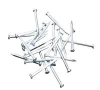Super Mundo - 300 piezas Clavos de acero al carbono, 3x50mm, clavos galvanizados para colgar imágenes y carpintería(99703)
