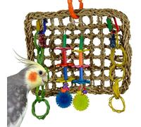 Super pájaro Creaciones Mini Actividad Juguete de Pared para pájaros