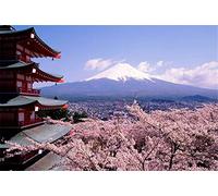Super Power® Premium 1000 Piezas Rompecabezas de Madera Juegos Monte Fuji Flores de Cerezo Patrón Puzzles de Piso Juguetes Hogar Marco de la Foto Decoración de la Pared Regalos