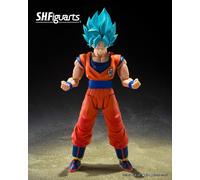 Super Saiyan God Super Son Goku (Blue Power Transcending Limits). SH Figuarts. B