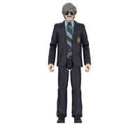 Beastie Boys Wave 1 Figurine Ultimates Alasondro Alegre as The Chief 18 cm