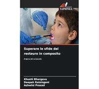 Superare le sfide del restauro in composito: Enigma del composito