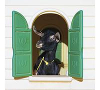 Superchunk - Wild Loneliness