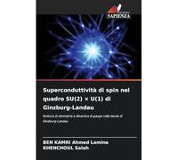 Superconduttività di spin nel quadro SU(2) × U(1) di Ginzburg-Landau: Rottura di simmetria e dinamica di gauge nella teoria di Ginzburg-Landau