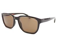 Superdry SDS 5003 Sol Negro Brillante Oro Con Marrón Oscuro Lentes 104a
