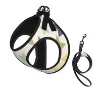 Superficie Colorida de la Estrella,Arnés para Mascotas, arnés Reflectante Ajustable para Perros,M