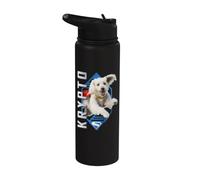 Superman (2025 Movie) Krypto Diamond Stainless Steel Insulated Water Bottle