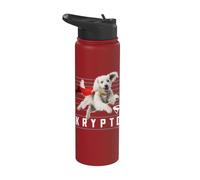 Superman (2025 Movie) Krypto Lines Stainless Steel Insulated Water Bottle
