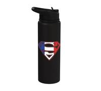 Superman French Shield Stainless Steel Insulated Water Bottle