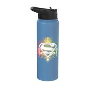 Superman Ornate Lion Shield Stainless Steel Insulated Water Bottle