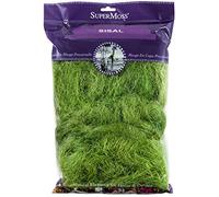 SuperMoss Sisal Moss Home and Kitchen Décor for Potted Plants Indoor Outdoor Gardens Crafters Choice for Faux and Live Perfect for Table Runners and Wall Art Basil Appx 8oz (29975)