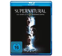 Supernatural: Staffel 14 (Blu-ray) Padalecki Jared Ackles Jensen Pellegrino Mark