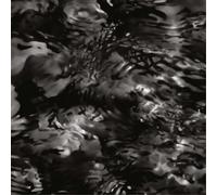 Superpitcher The Golden Ravedays 3 (Vinyl) 12" Single (Importación USA)