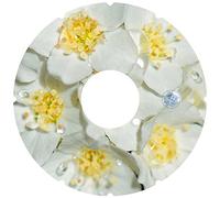 SuperSpokeGuard.com 22'' Protectores de radios para sillas de Ruedas A-126 (par)