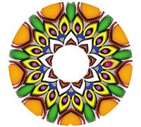 SuperSpokeGuard.com 24'' Protectores de radios para sillas de Ruedas A-142 (par)