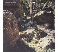 Superstar - A Toast To... Superstar [VINYL] [Vinilo]