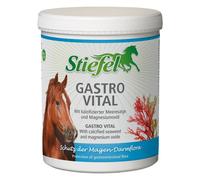 Suplemento alimenticio para caballos Stiefel Gastro Vital 1 kg