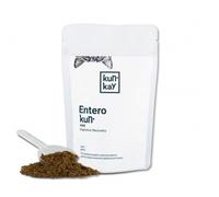 Suplemento Enterokun Mild para la salud intestinal en gatos